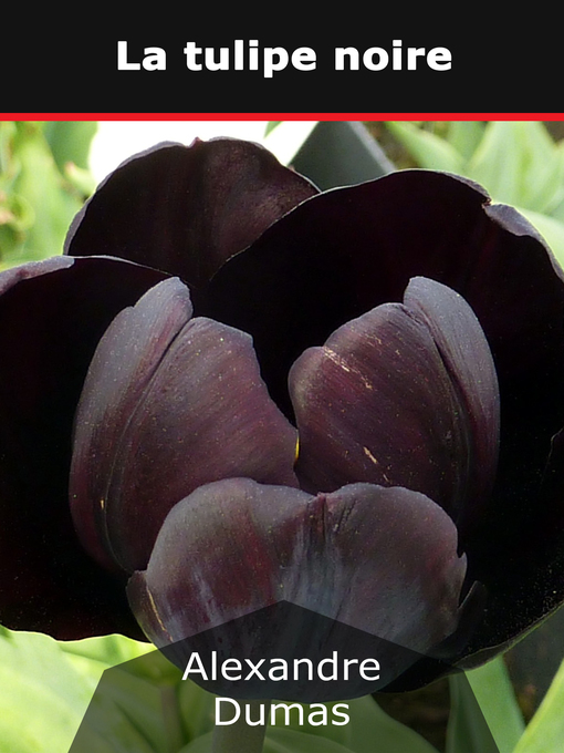 Cover image for La tulipe noire